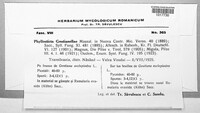 Image Associated With the Occurence